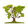 Wallity Tree 2 Accesorio decorativo de pared